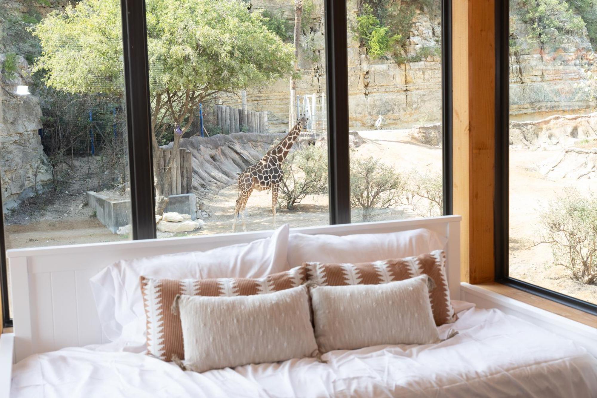 San Antonio Zoo - Spekboom Giraffe Lodge Экстерьер фото