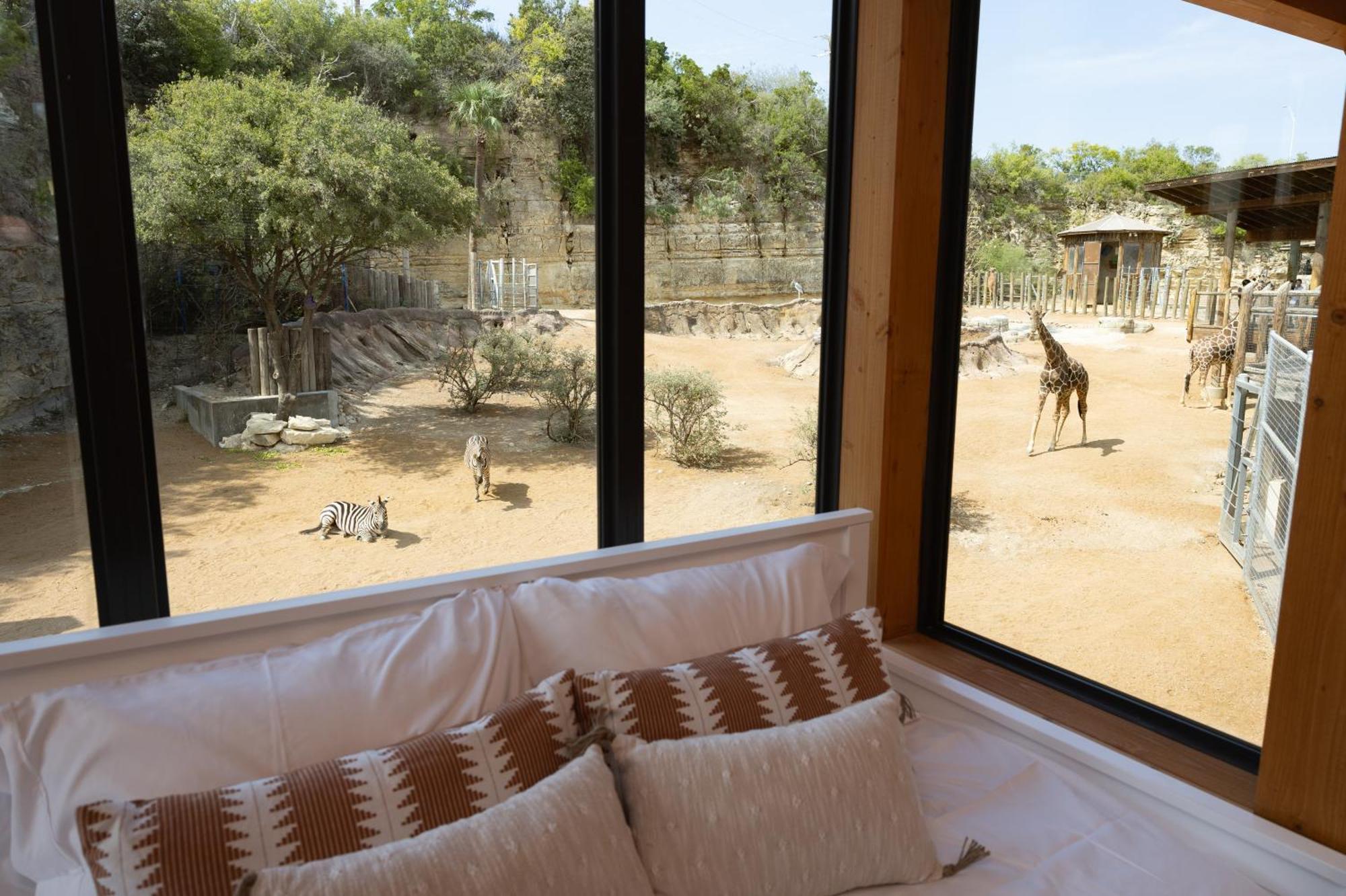 San Antonio Zoo - Spekboom Giraffe Lodge Экстерьер фото